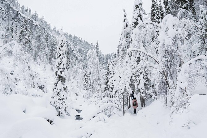 Frozen Waterfalls of Korouoma Canyon tour with Pro Photos & BBQ - BBQ lunch beside the fire