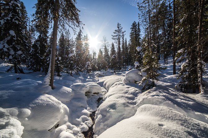 Frozen Waterfalls of Korouoma Canyon tour with Pro Photos & BBQ - The winter clothing and gear make a real difference