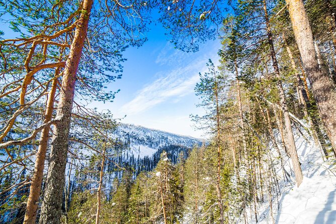 Frozen Waterfalls of Korouoma Canyon tour with Pro Photos & BBQ - Guides who add more than directions