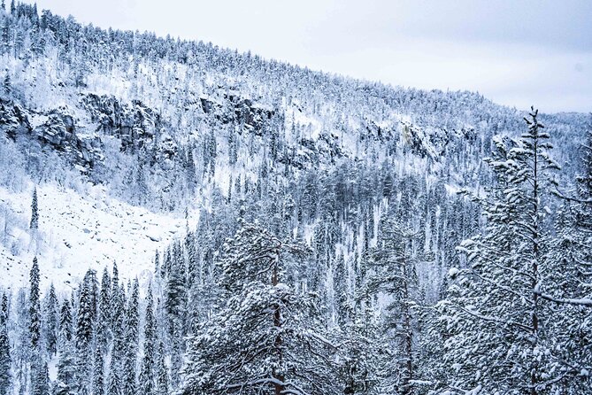 Frozen Waterfalls of Korouoma Canyon tour with Pro Photos & BBQ - Who should book this experience
