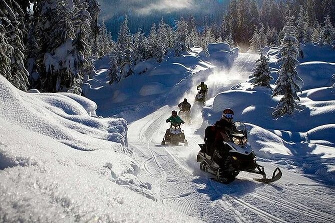 Full Day Snowmobile Safari - A full day in the Arctic forest