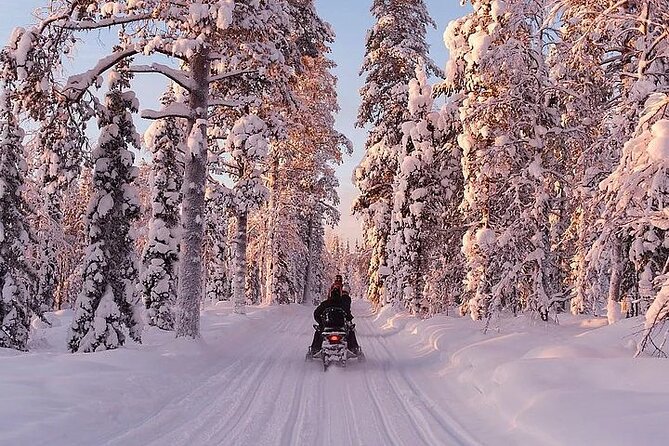 Full Day Snowmobile Safari - Rules for children and drivers