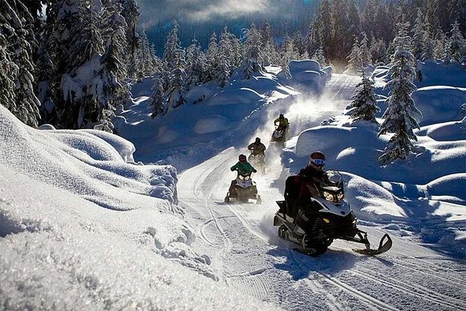 Full Day Snowmobile Safari - Group size, pace, and guide support