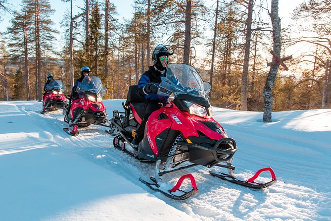Full Day Snowmobile Safari into the Lappish Wilderness in Rovaniemi - Who will enjoy this six-hour ride