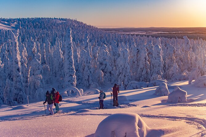 Full-Day Snowshoeing Adventure in Amethyst Mine Pyhä Luosto - Digging for an amethyst to keep