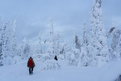 Full-Day Snowshoeing Adventure in Amethyst Mine Pyhä Luosto