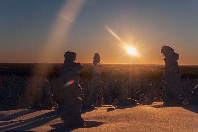 Full-Day Snowshoeing Adventure in Amethyst Mine Pyhä Luosto - What the $250.17 price really covers