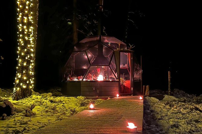 Glass Igloo Campfire Dinner under Northern Lights - Who Will Enjoy This Most?