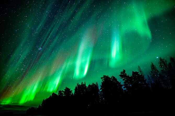 Guaranteed Northern Lights Hunting Adventure in Lapland - Driving through Lapland is part of the experience