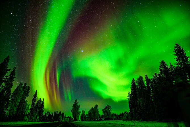 Guaranteed Northern Lights Hunting Adventure in Lapland - The price and what you are really paying for