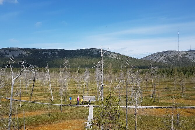 Guided easy hike in Finland deepest gorge in Pyhä-Luosto National Park - Geology, nature, and Sámi culture in one outing