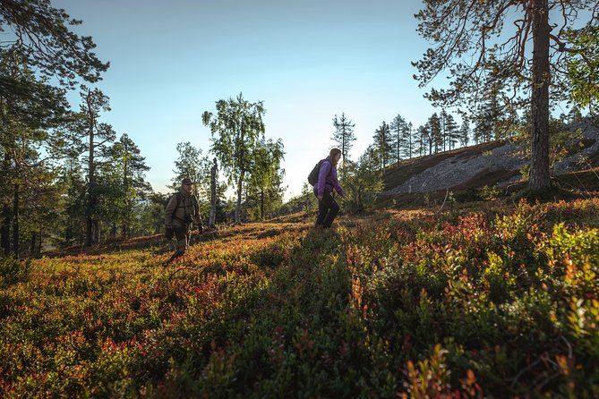 Guided easy hike in Finland deepest gorge in Pyhä-Luosto National Park - What the small group and pickup add