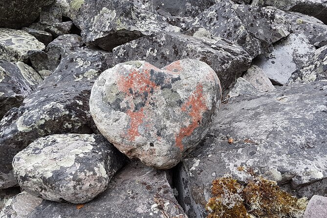 Guided easy hike in Finland deepest gorge in Pyhä-Luosto National Park - Is $80.95 a fair price?