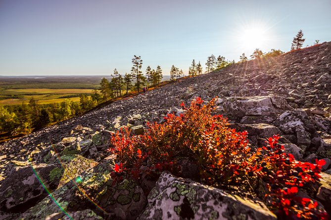 Guided easy hike in Finland deepest gorge in Pyhä-Luosto National Park - Walking to Pyhänkasteenputous Waterfall