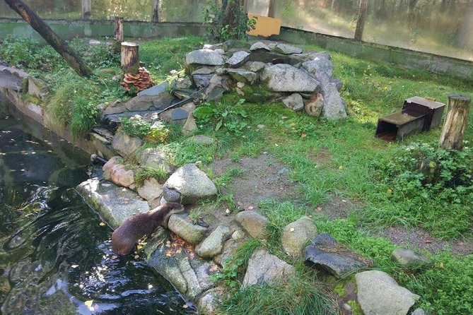 Guided Ranua Wildlife Park tour with Lunch, Small group adventure - Practical details that can affect your day