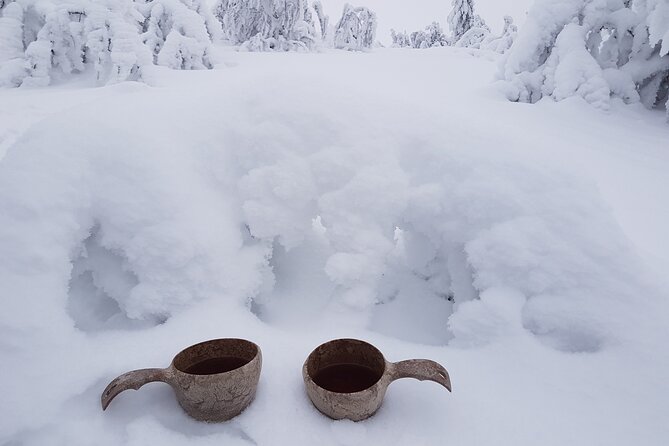 Guided reindeer farm visit and one hour sledge safari - What the $156.03 price buys you