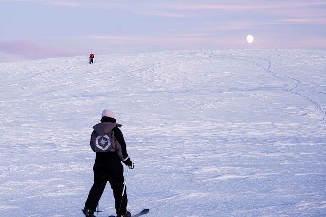 Half-Day Backcountry Skiing Tour in Levi with Photography Guide - Leaving Levi for the Arctic woods