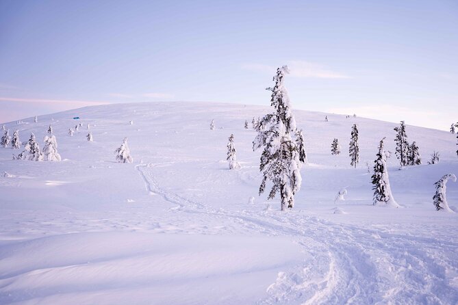 Half-Day Backcountry Skiing Tour in Levi with Photography Guide - Timing, pickup, and the return to Levi