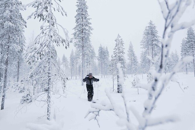 Half-Day Backcountry Skiing Tour in Levi with Photography Guide - Learning the skis before heading into the trees