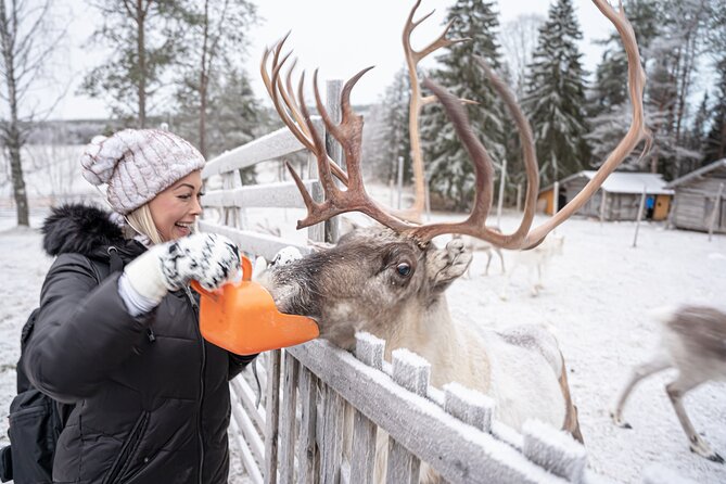 Half-Day Experience in Local reindeer farm in Lapland - Is $205.15 a fair price?