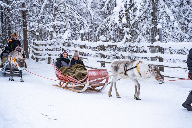 Half-Day Experience in Local reindeer farm in Lapland - The 2km sleigh ride through snowy woodland