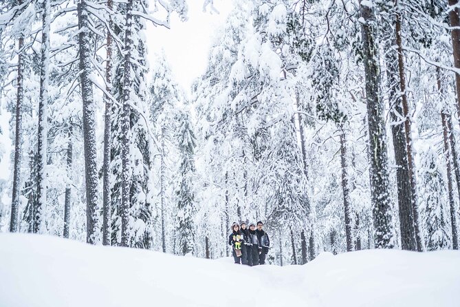 Half Day Guided Tour in the Wilderness of Levi - A quiet Arctic day beyond Levi