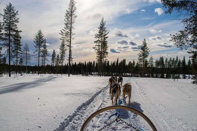 Half-Day Husky Safari and Salmon Ice Fishing Experience - The Kota Snack and Finnish Stories