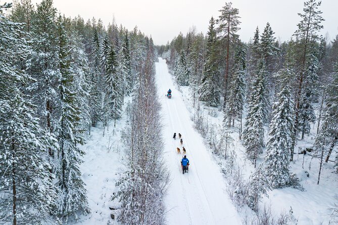 Half-Day Husky Safari and Salmon Ice Fishing Experience - What the $264.91 Price Gets You