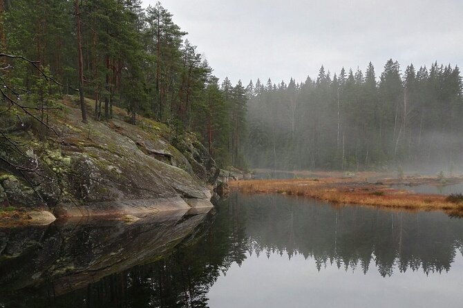 Half-Day Nature Adventure to Nuuksio National Park from Helsinki - Walking Nuuksio’s forest trails