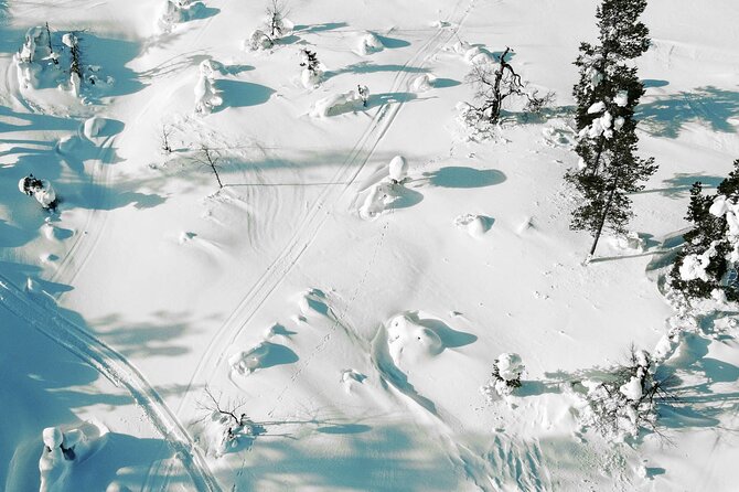Half Day Snowshoe Hiking Adventure in Levi Lapland - Photography that adds real value