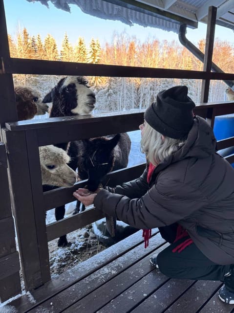 Helsinki: Alpaca Farm Tour with Guided Walk (private) - Is $235 per person a fair price?