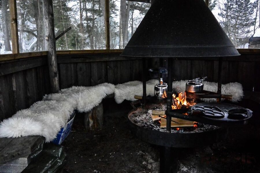 Helsinki: Arctic Ice Experience with Lunch - A short walk with a long view