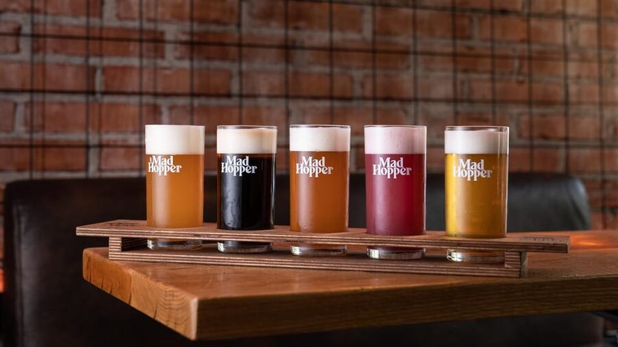 Helsinki: Brewery Tour at Mad Hopper Brewing Company - The story behind Mad Hopper’s beers