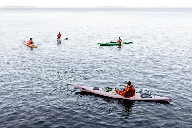 Helsinki by Kayak - A well-timed island snack stop