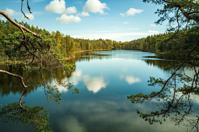 Helsinki: Nuuksio National park hiking with campfire lunch - Key points to know before you book