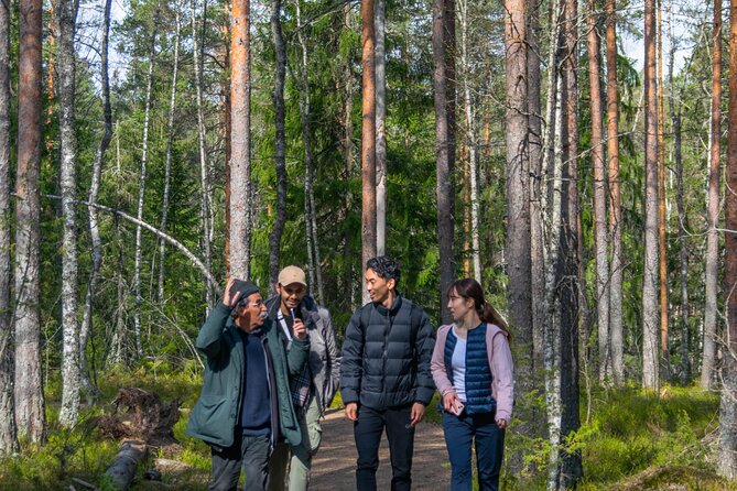 Helsinki: Nuuksio National park hiking with campfire lunch - Should you book the Nuuksio campfire hike?