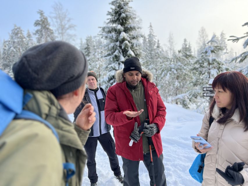 Helsinki: Winter Wonderland Liesjärvi National Park Hike - Key points to know before you book