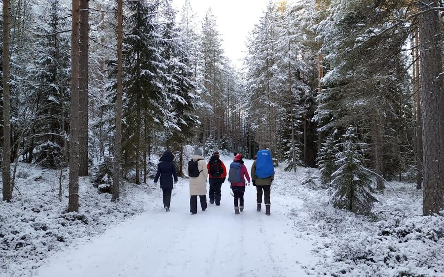 Helsinki: Winter Wonderland Liesjärvi National Park Hike - Should you book the Liesjärvi winter hike?