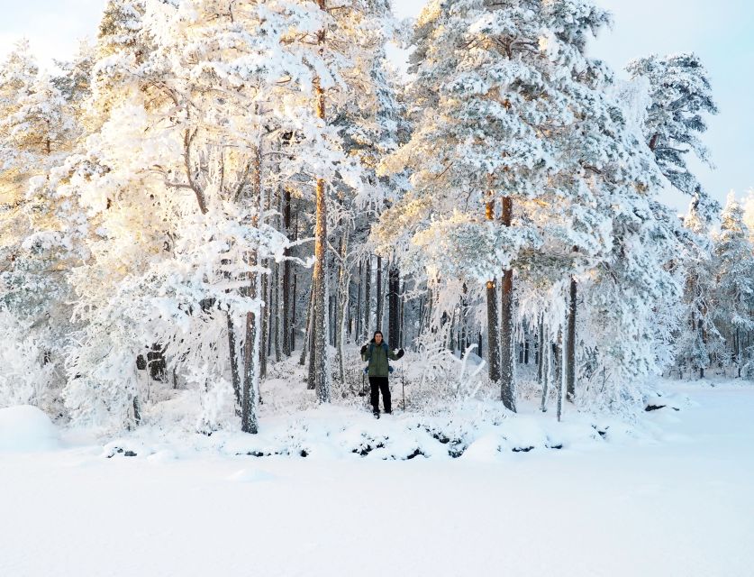 Helsinki: Winter Wonderland Liesjärvi National Park Hike - The slower second half of the forest walk