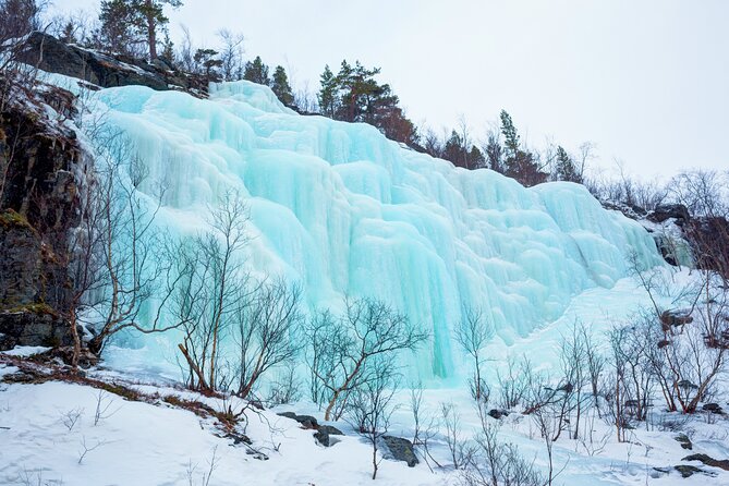 Hike to Frozen Waterfalls of Korouoma Including BBQ Lunch from Rovaniemi - Getting ready for an icy forest walk