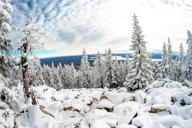 Hike to Frozen Waterfalls of Korouoma Including BBQ Lunch from Rovaniemi - Guides who shape the day