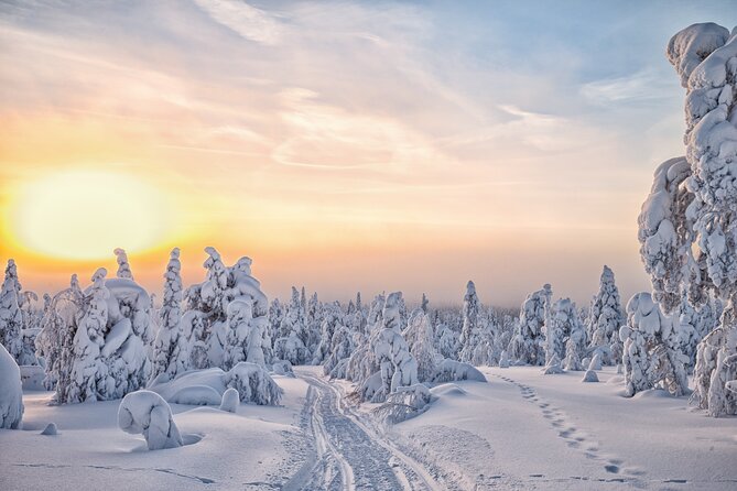 Hike to Frozen Waterfalls of Korouoma Including BBQ Lunch from Rovaniemi - Weather, daylight, and winter expectations