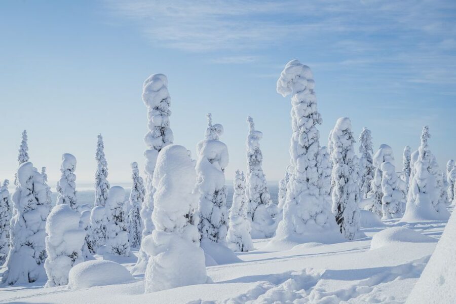 Hiking in Riisitunturi National Park with Photographer - Key points at a glance