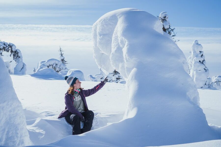 Hiking in Riisitunturi National Park with Photographer - Booking details that matter