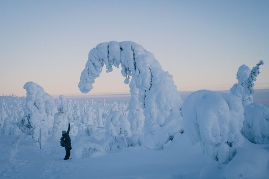 Hiking in Riisitunturi National Park with Photographer - A 5km walk through a winter wonderland
