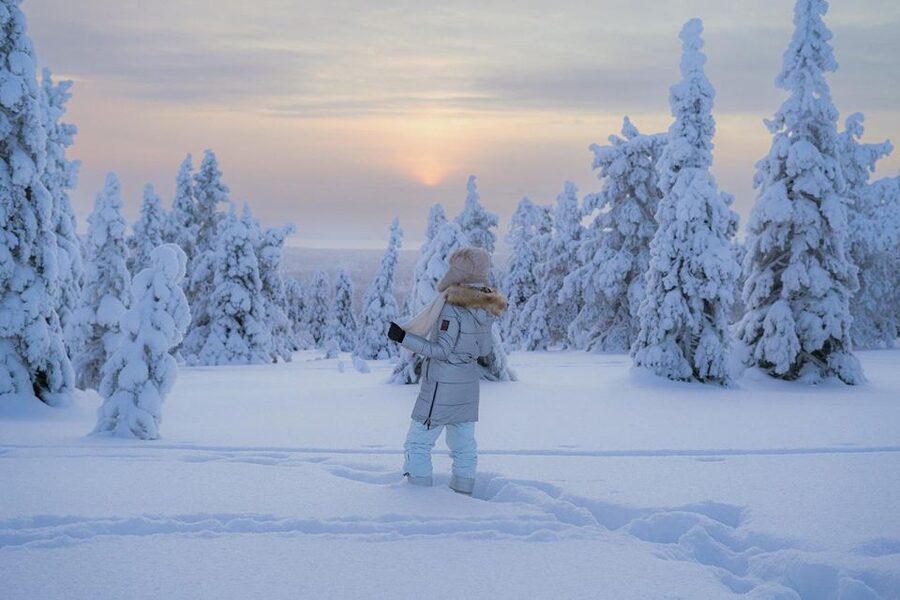 Hiking in Riisitunturi National Park with Photographer - Campfire lunch with a wide Arctic view