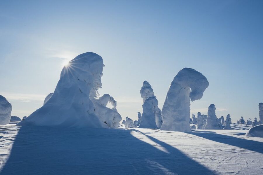 Hiking in Riisitunturi National Park with Photographer - How the small group changes the day