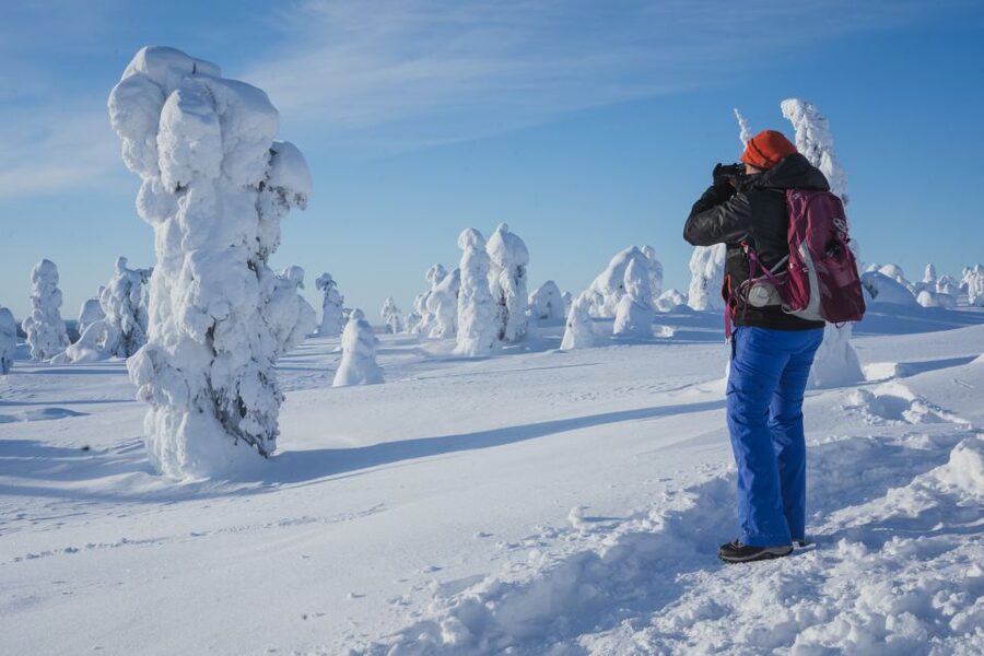 Hiking in Riisitunturi National Park with Photographer - Who will enjoy this most