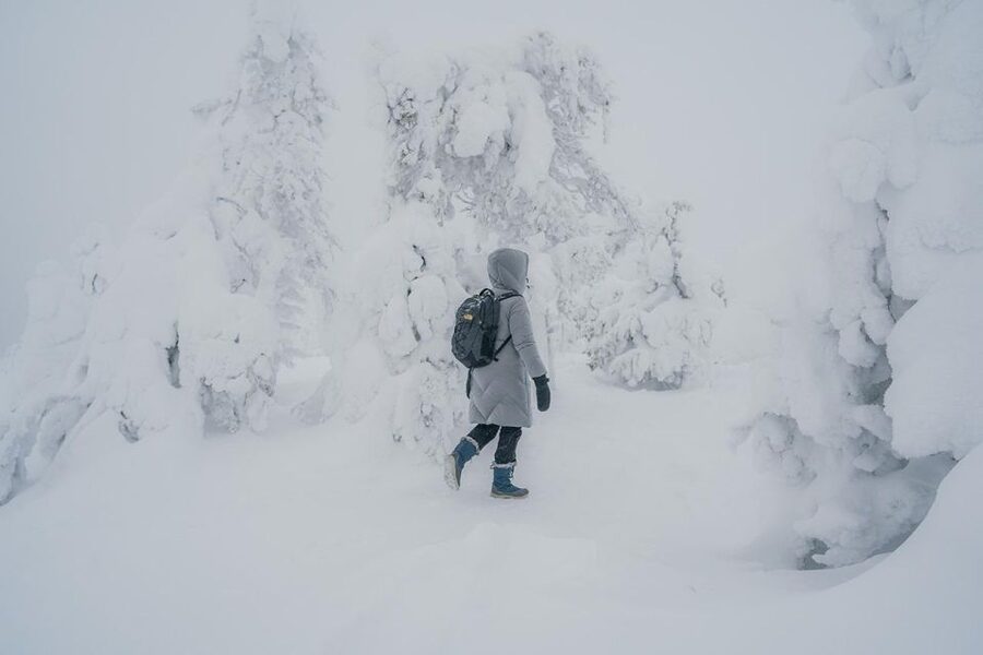 Hiking in Riisitunturi National Park with Photographer - The ride from Rovaniemi