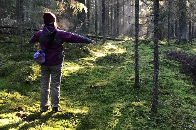 Hiking tour in Nuuksio National Park with meal and snacks - Key points at a glance